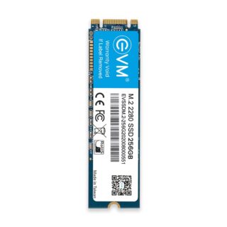 EVM 256GB SSD