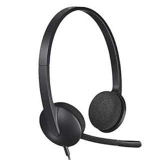 PC/Mac laptop headphones